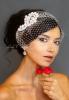 Paloma: Ivory Pearl Rhinestone Bridal Comb & Petite Rhinestone Bridal Birdcage Veil Headpiece 27-70926 Leslie Li
