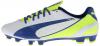 Giày PUMA Women's Evo Speed 3.3 Firm Ground Soccer Shoe