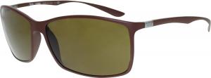 Kính mắt Ray-Ban 4179 881/73 Matte Brown 4179 Rectangle Sunglasses Lens Category 3