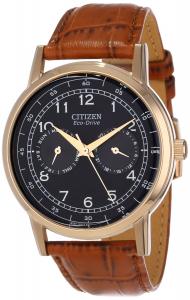 Đồng hồ Citizen Men's AO9003-08E Stainless Steel Eco-Drive Watch with Leather Band