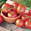 Hạt giống Celebrity Hybrid Tomato Seeds