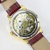 Youyoupifa Brilliant Hand-winding Mechanical Golden Dial Brown PU leather Band Watch NBW0FD5533-SS3