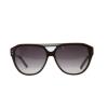 Just Cavalli Men's JC505S Acetate Sunglasses BROWN 58