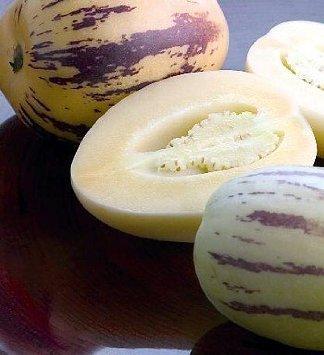Seeds and Things Pepino Melon Pear 10 Seeds-solanum Muricata-indoors/out