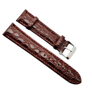 22mm Regular Replacement Brown Genuine Alligator Grain Leather Watch Strap/Watch Band, Silver Buckle