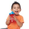 Gerber Graduates Fun Grips Hard Spout Sippy Cup in Assorted Colors, 10-Ounce, 2 cups