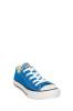 Converse Chuck Taylor All Star Ox Sneaker Little Kids