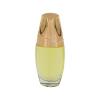 Estee Lauder Beautiful Eau de Parfum Spray for Women, 1.0 Fluid Ounce