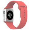 Apple Watch Band, JETech® Soft Silicone Replacement Sport Band for Apple Watch All 42mm Models (Silicone - Red)