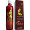 Argan Oil Shampoo, Sulfate Free, 8 oz. - With Argan, Jojoba, Avocado, Almond, Peach Kernel, Camellia Seed, and Keratin - 100% Safe for Color Treated Hair - For Men, Women, and Teens - All Hair Types - Most Beneficial Haircare Product Available