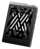 Cowon Plenue D High Resolution Music Player 32GB (Silver/Black)