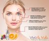 Viva la Vida Natural Skin Care - Anti Aging Vitamin C Serum Complex with Berries - Best for Face, Eyes and Neck. Small Batch Organic Skin Care Products Created for Fresh Quality - 98% Natural, 70% Organic