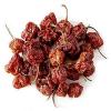 Carolina Reapers 6 Dry Whole Pepper Pods * Hottest Peppers in the World | Free First Class Shipping in USA |