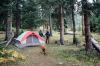Lều dã ngoại Wenzel Pine Ridge Tent - 5 Person