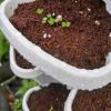 5 Tier Stackable Strawberry, Herb, Flower, and Vegetable Planter  - Vertical Garden Indoor / Outdoor