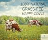 Premium Grass Fed Beef Gelatin (XL 2.2lbs) | Unflavored | Pure Collagen Protein Powder | Healthy Paleo Baking and Cooking | 18 Amino Acids for Joints, Bones, Skin, Hair, Gut | Gluten Free & Non GMO