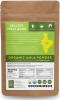 Organic Amla Powder - 4oz Resealable Bag - 100% Raw From India - by Feel Good Organics