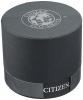 Citizen Eco-Drive Men's Black Ion Plated Axiom Watch