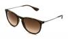 Ray Ban RB4171F Erika Sunglasses Bundle-2 Items