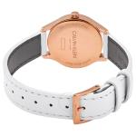Đồng hồ Calvin Klein Endless Silver Dial Ladies Watch K7V236L6