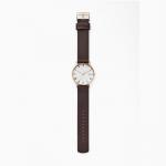 Đồng hồ Skagen Signatur Brown Leather Watch SKW6493