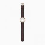 Đồng hồ Skagen Signatur Brown Leather Watch SKW2760